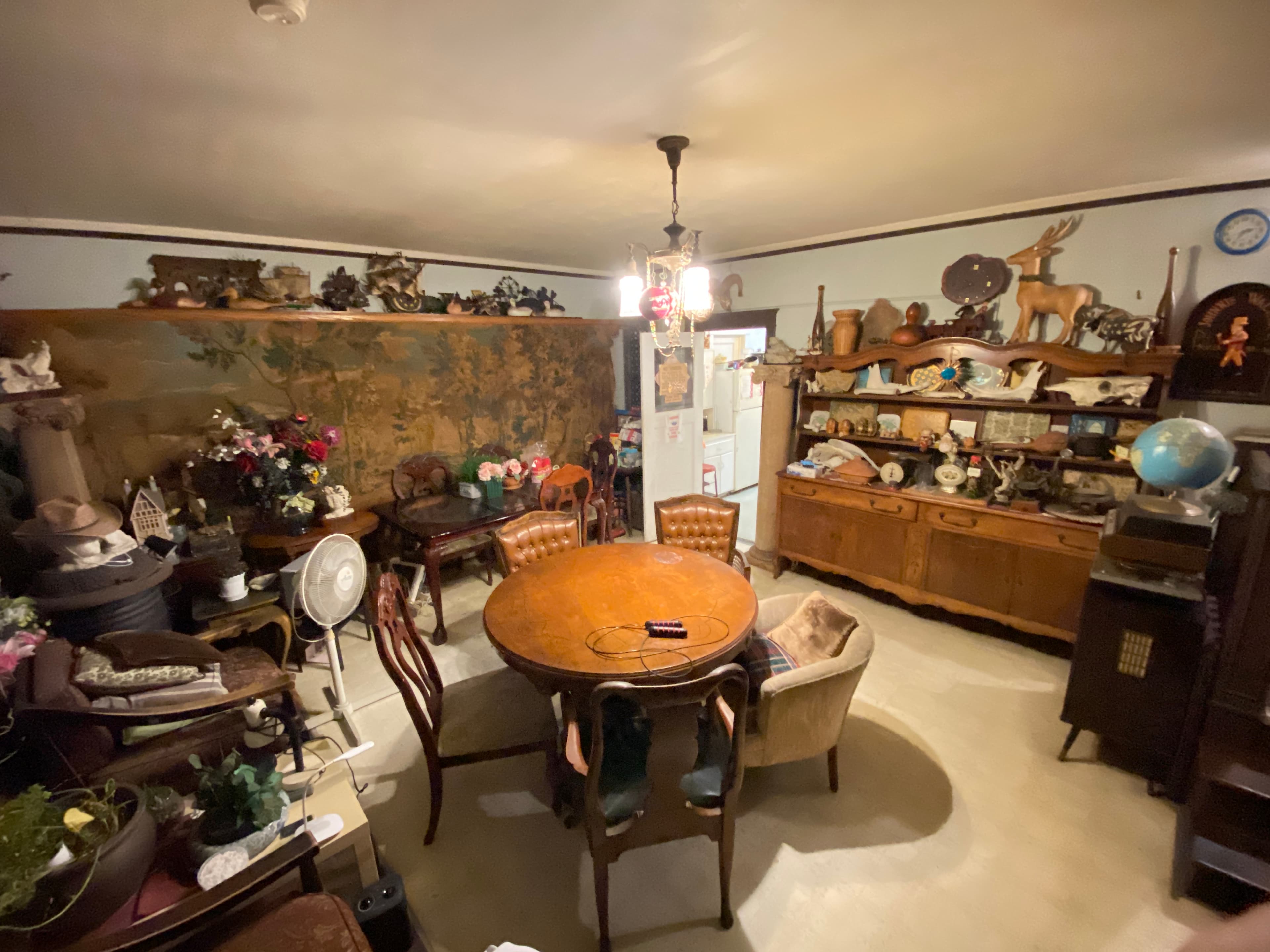 Modern Kitchen at Daisy Property